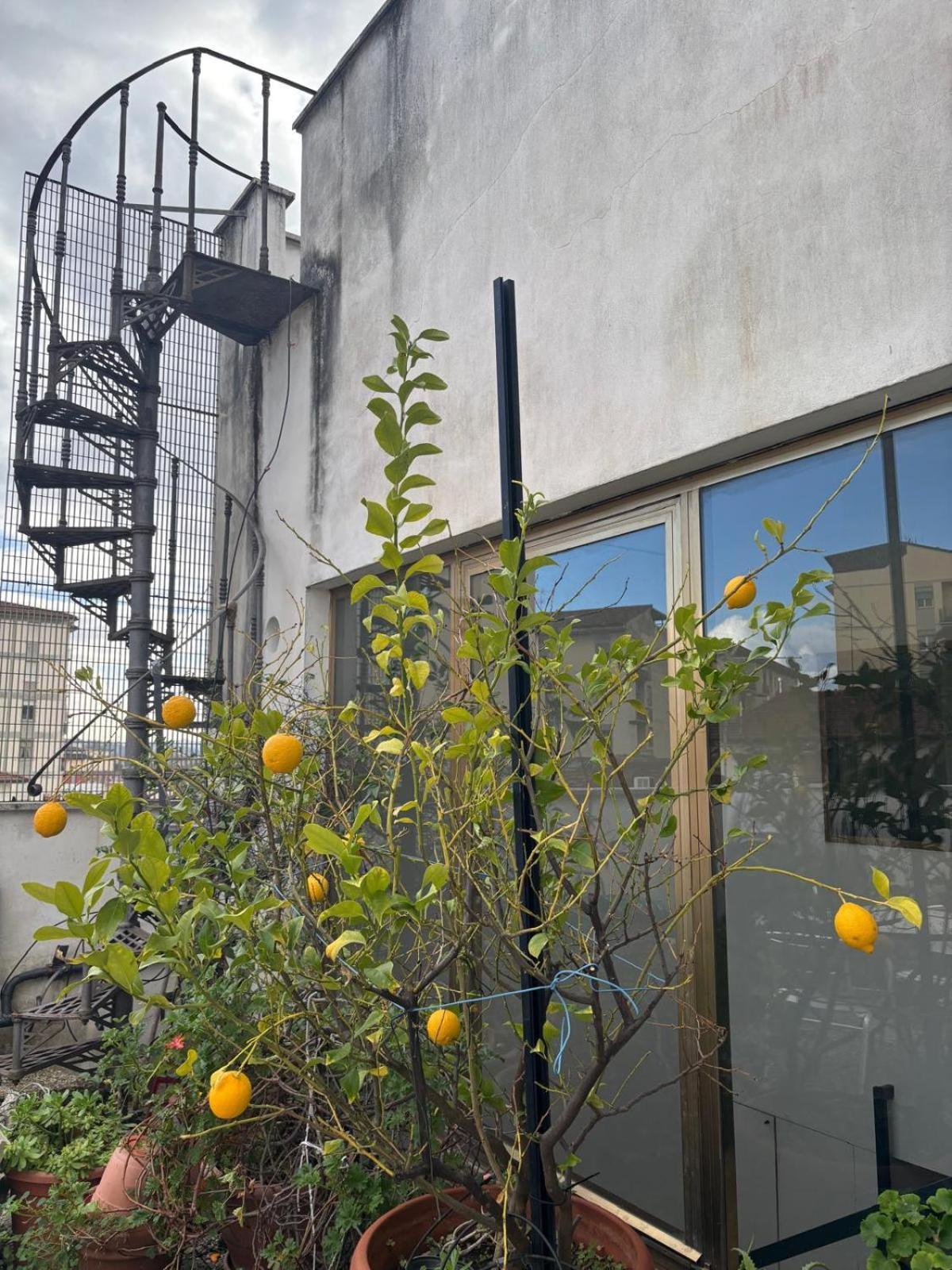 Hotel Girasole House Florenz Exterior foto